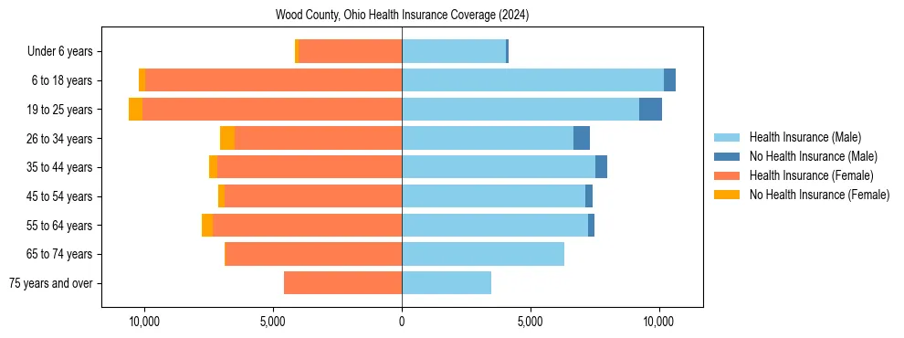 Health insurance pyramid for Wood County, Ohio