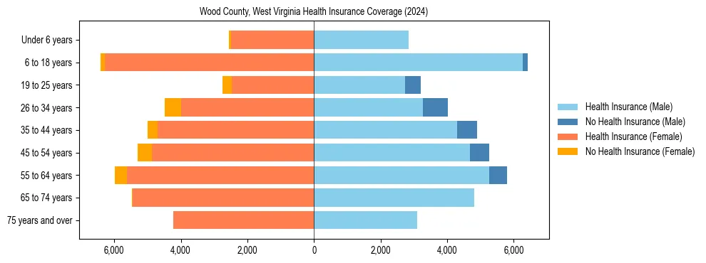 Health insurance pyramid for Wood County, West Virginia