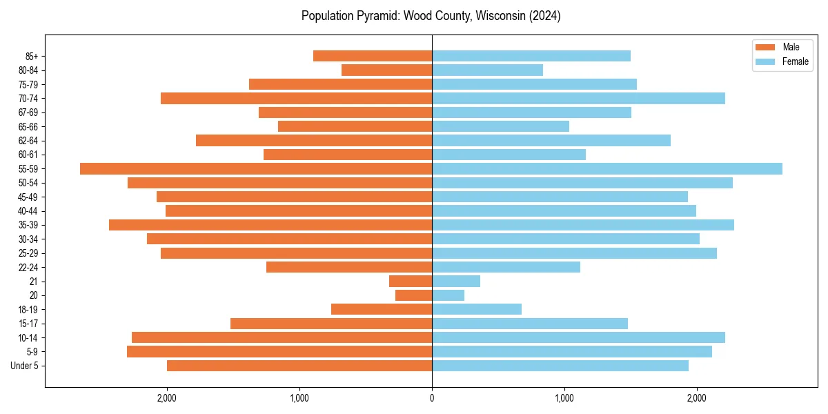 Population pyramid for 