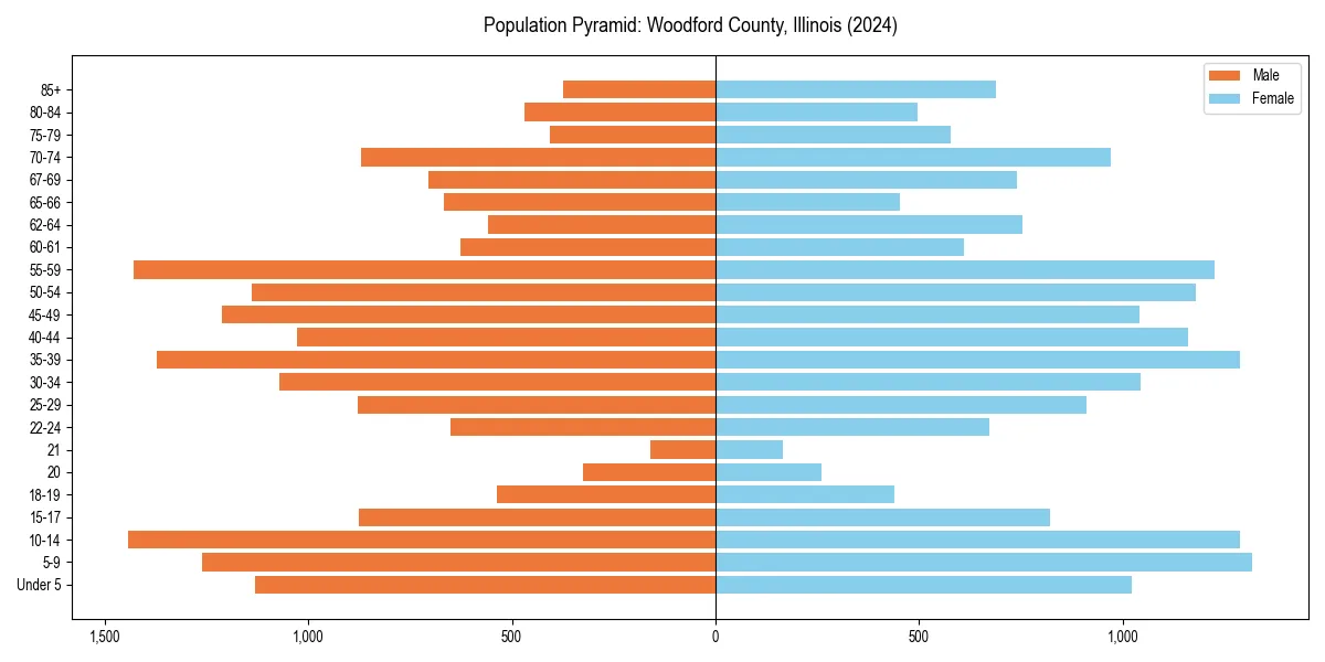 Population pyramid for 