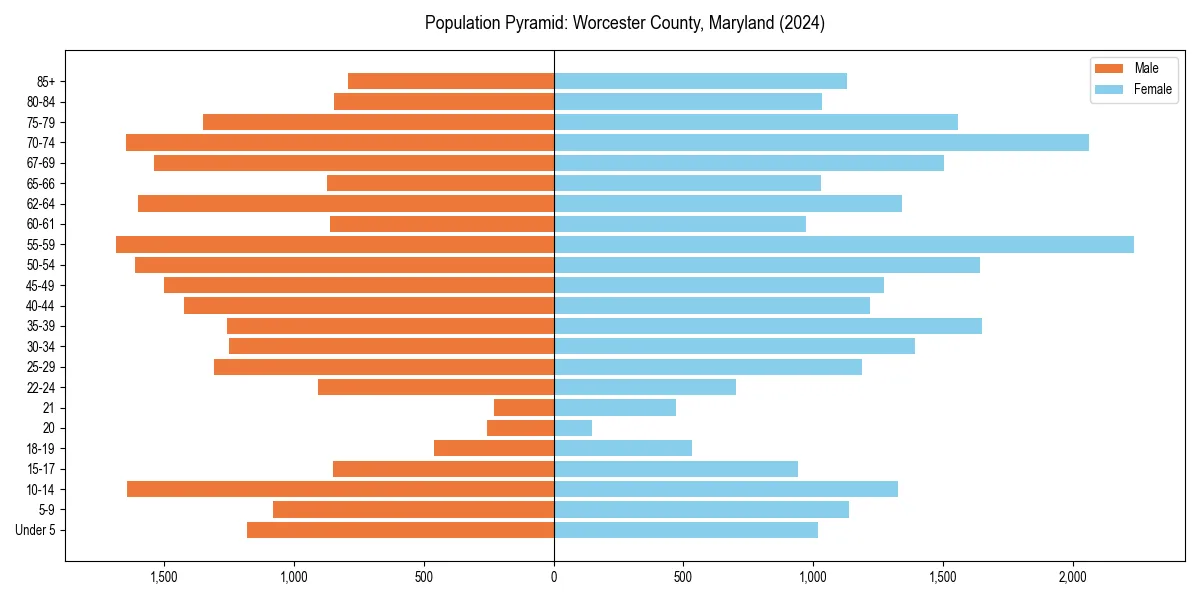 Population pyramid for 
