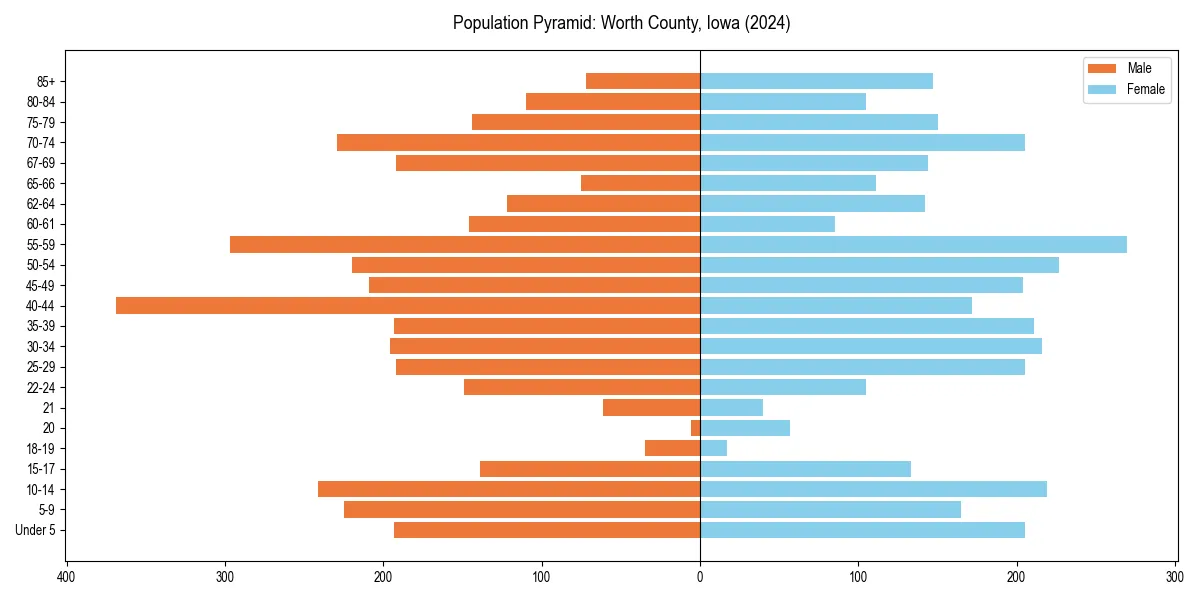 Population pyramid for 