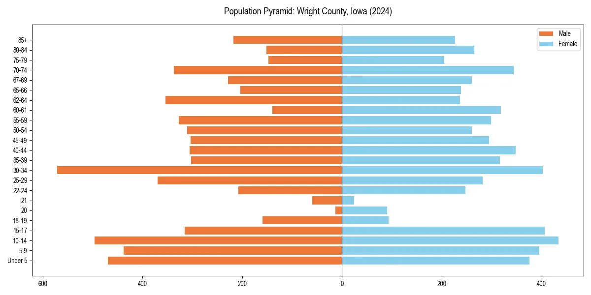 Population pyramid for 