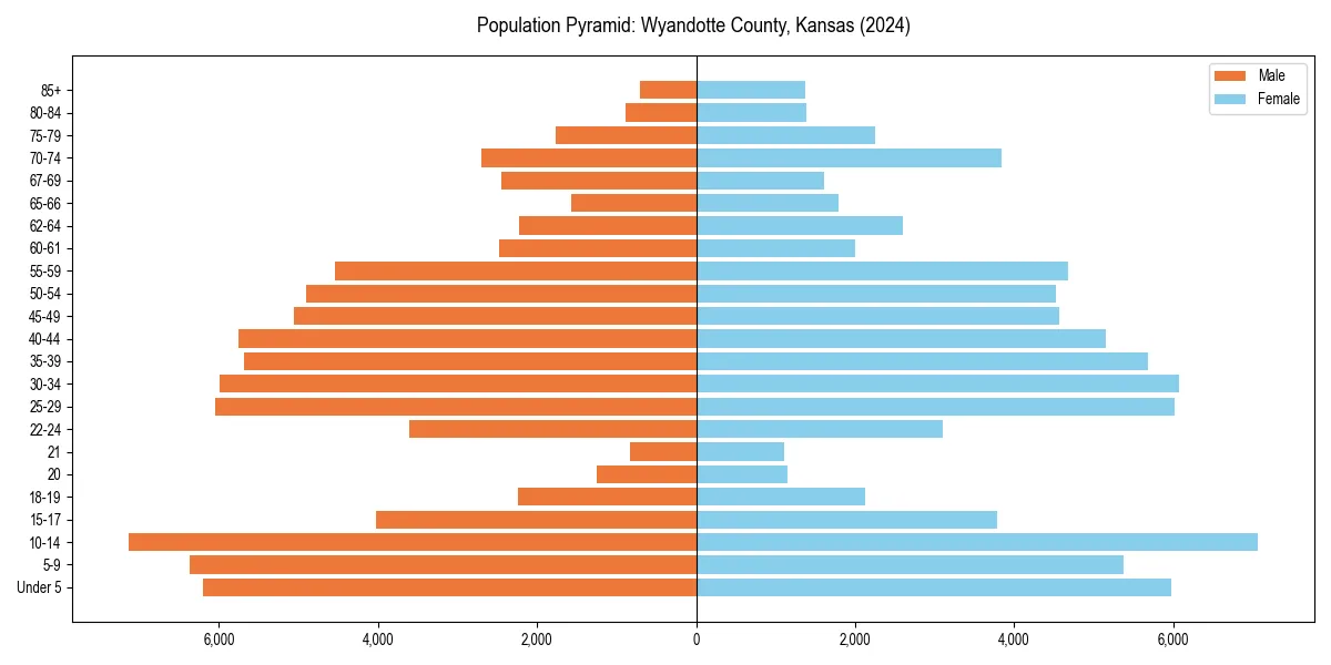 Population pyramid for 