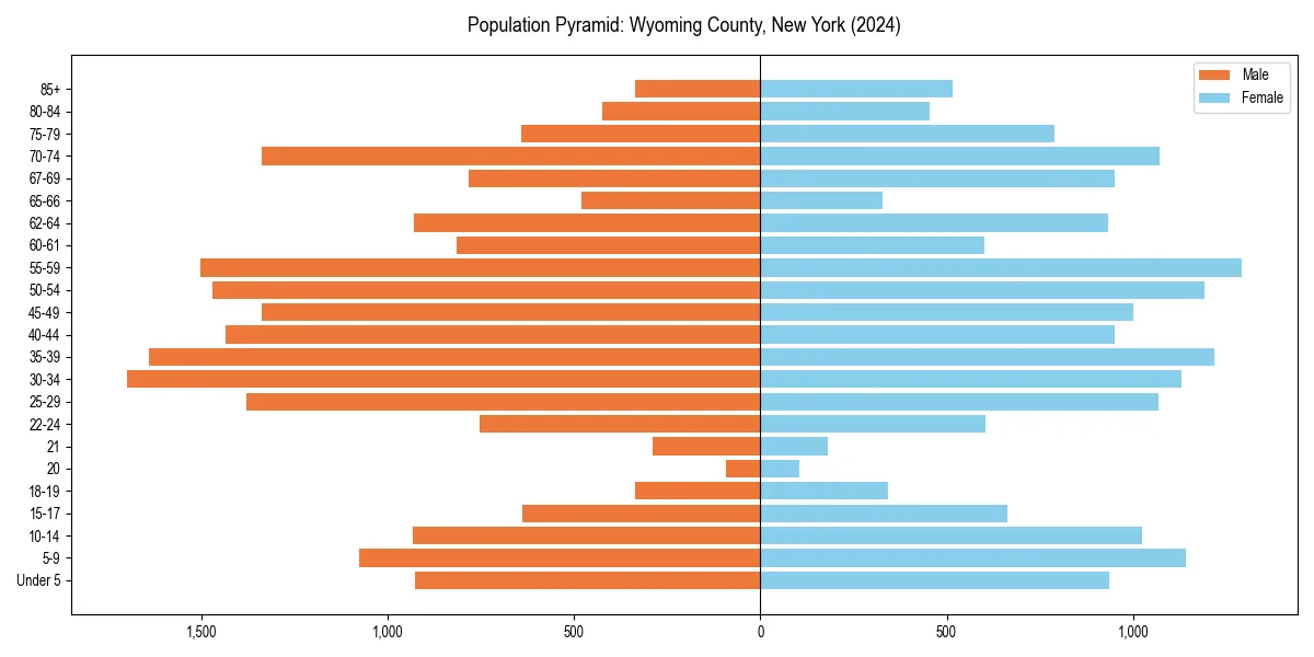 Population pyramid for 