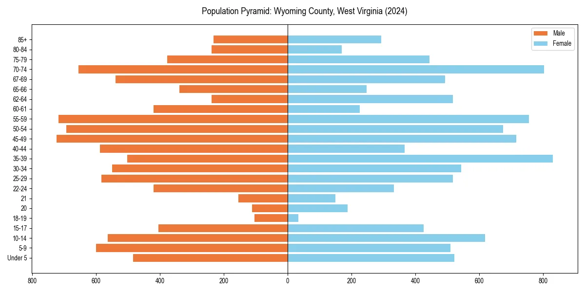 Population pyramid for 