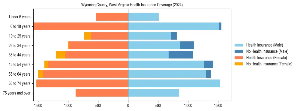 Health insurance pyramid for Wyoming County, West Virginia