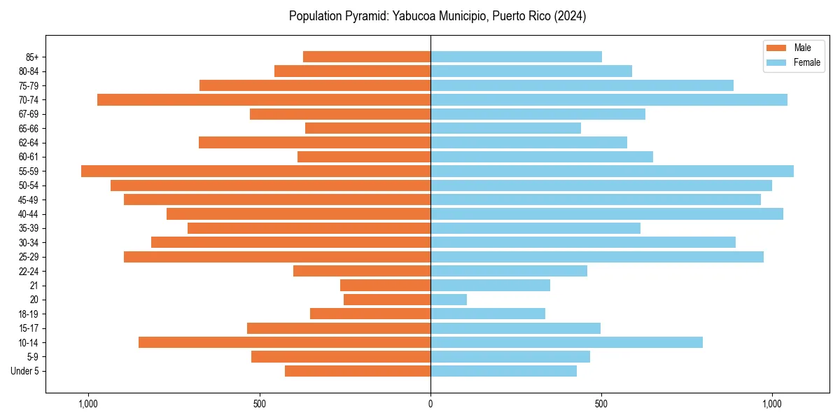 Population pyramid for 