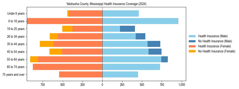 Health insurance pyramid for Yalobusha County, Mississippi