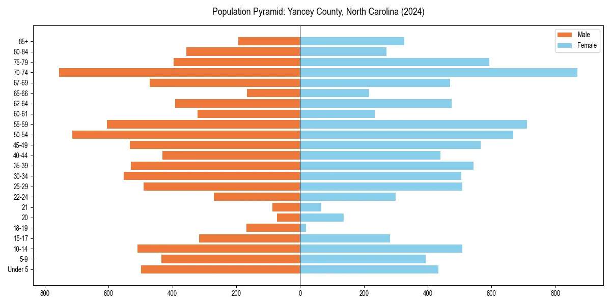 Population pyramid for 