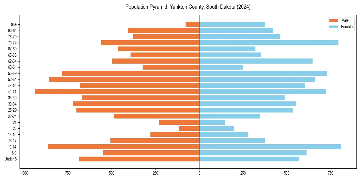 Population pyramid for 