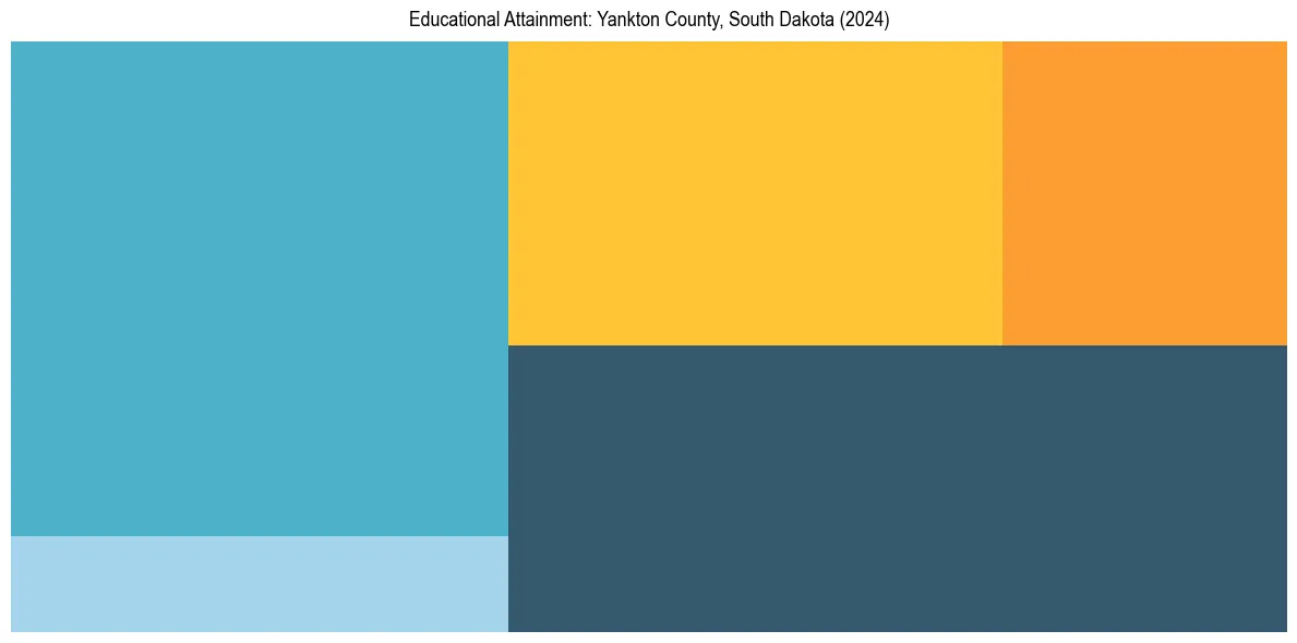 Education Treemap for  in 2024