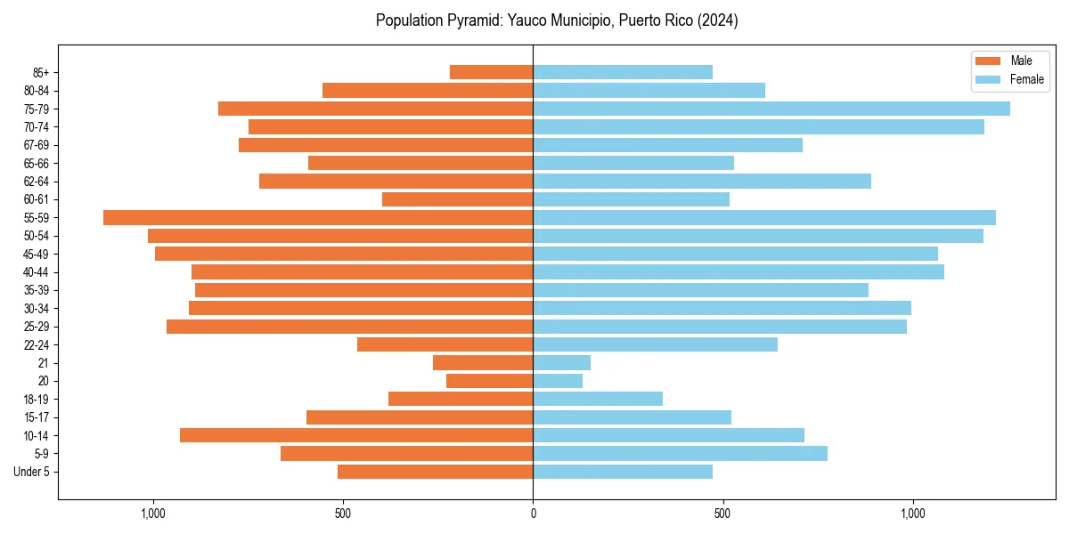 Population pyramid for 