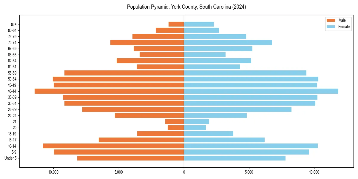 Population pyramid for 