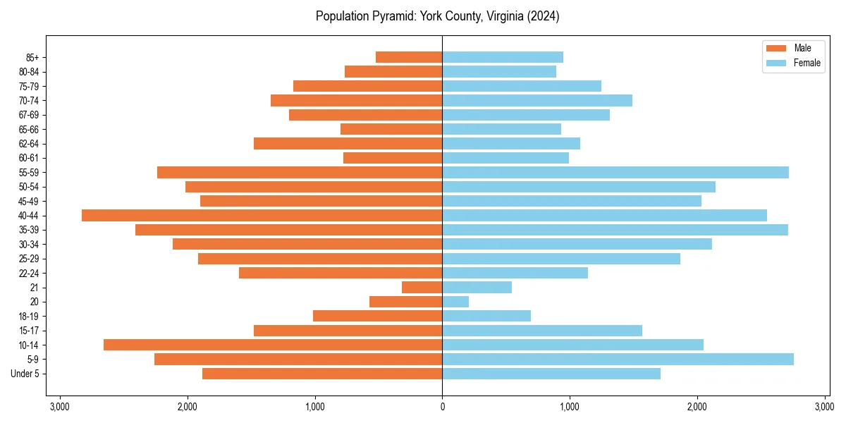 Population pyramid for 