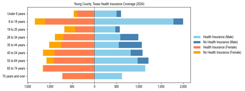 Health insurance pyramid for Young County, Texas